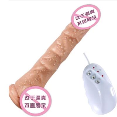 Dual Motor Heat Dildo USB Recharge 10 Speed Clitoris Stimulation Massager Vibrator Dildo for Female Women Massage Toys